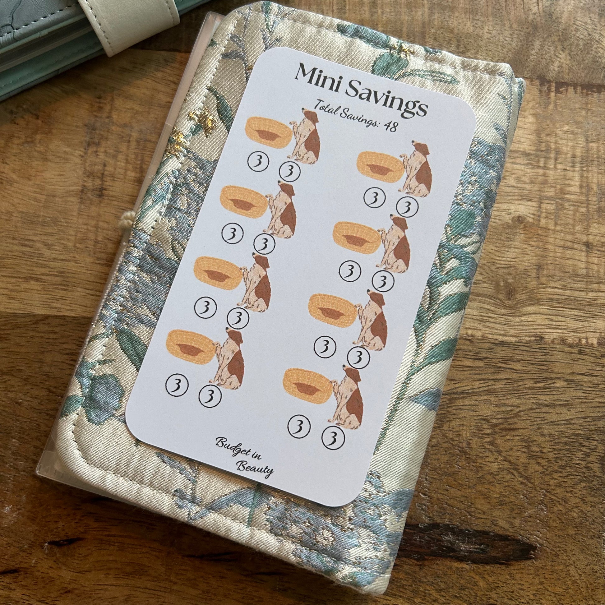 Mini Saving Challenges. Low Budget Goals Cash Stuffing