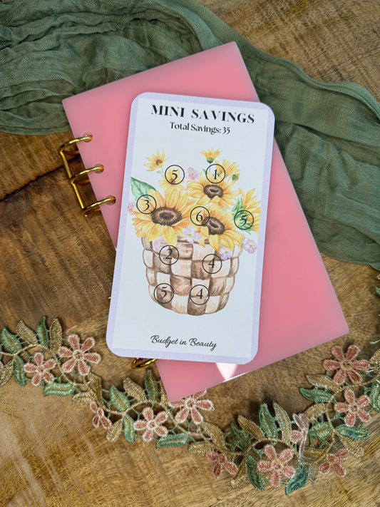 The Mini Savings Challenge. Low Budget Goals Savings