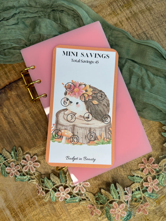 The Mini Savings Challenge. Low Budget Goals Savings